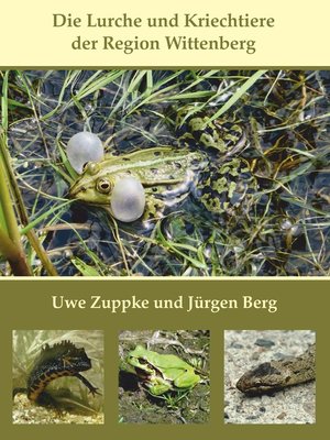 cover image of Die Lurche und Kriechtiere der Region Wittenberg
